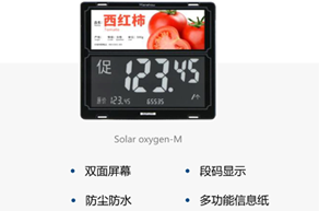 電子價標樣圖