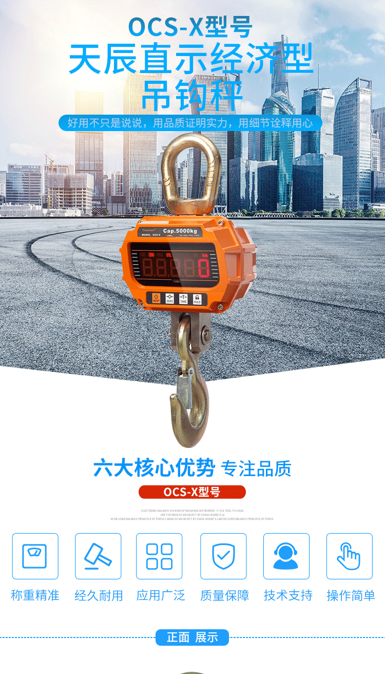 稱重顯示控制器_01