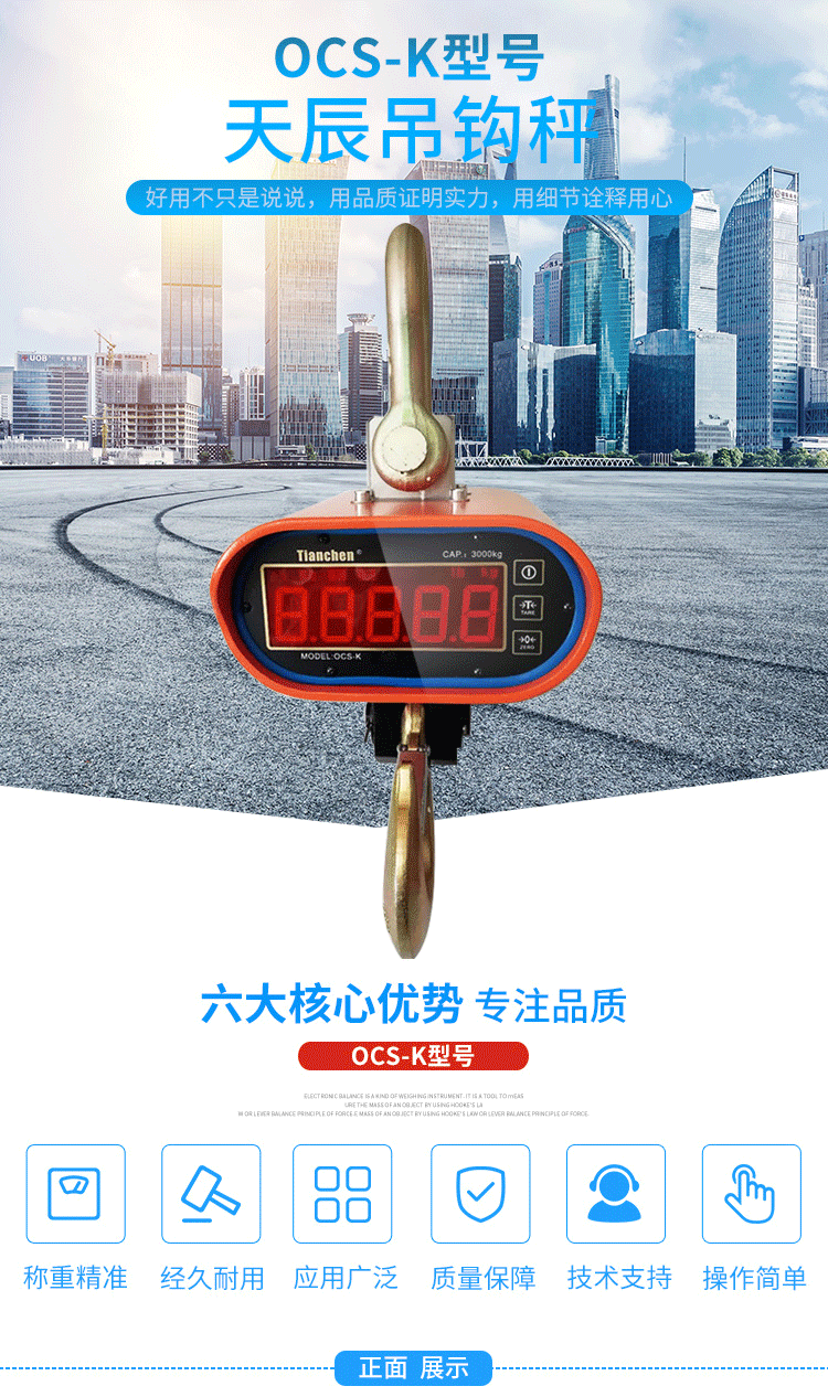 稱重顯示控制器_01